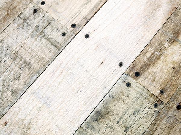 TrailKing
